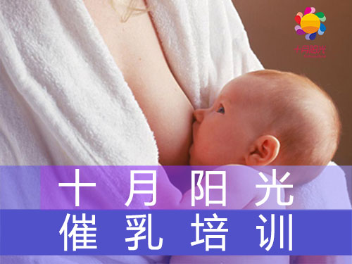 催乳师培训内容包括哪几个方面？月嫂、催乳师是干嘛的？