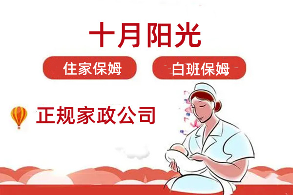 保姆的服务内容主要有哪些？