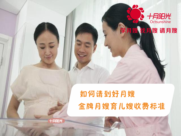 金牌月嫂价格
