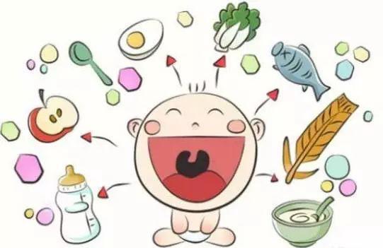 辅食添加